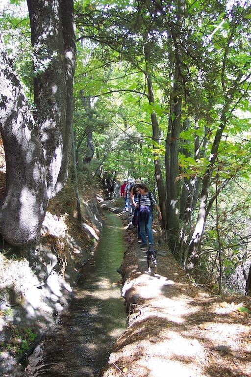 Alojamiento Rural Mirador Del Avellano อัลปูฮาร์รา เด ลา เซียร์รา ภายนอก รูปภาพ